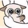 修猫师傅