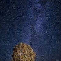 太白水君