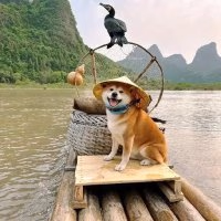 忧郁笑笑生