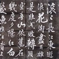 沧海不笑