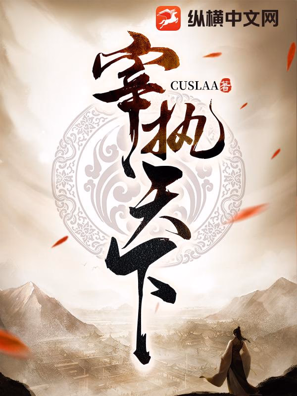 宰执天下