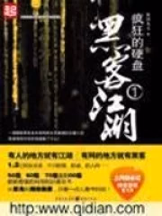 疯狂的硬盘